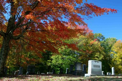 Sunny Fall Cemetery Scene tb1110hgr.jpg