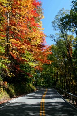 CC Road Contrast and Fall Colors v tb1110hhr.jpg