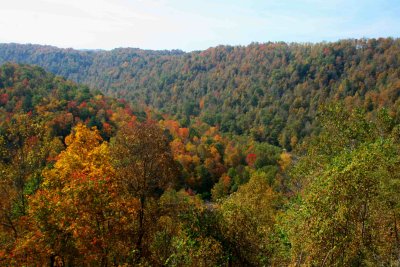 Sunny Gauley River Valley Autumn Scene tb1110htr.jpg