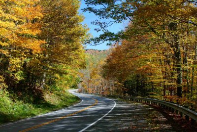 Scenic Stretch of Rd in North Cherry Valley tb1110hpr.jpg