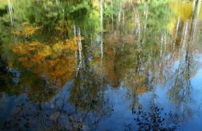 Blue Sky Reflection of Williams River Colors tb1010xvr.jpg