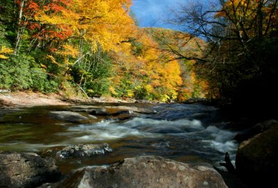 Contrasty Upper Williams River Scene tb1110epr.jpg