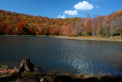 Stump in Tailwaters of Summit Lake Autumn tb1111far.jpg