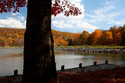 Huge Red Maple by Shaded Dock Summit Lake tb1111fer.jpg