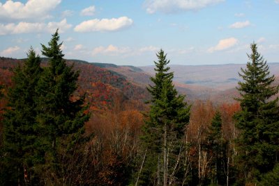 Upper Williams River Valley View with Pale Sky tb1111fqr.jpg