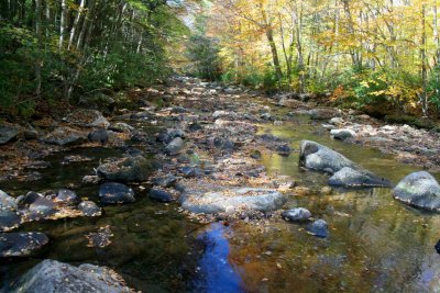 Extended River View near 2nd Bridge Cherry Valley tb1111fur.jpg