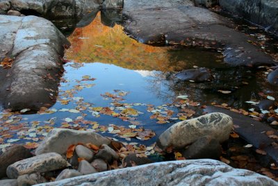 Reflection of WV Mtns in Autumn Pool tb1111ocr.jpg