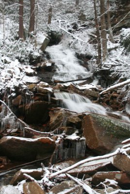 Windy Creek Frozen Stream and Forest v tb1012wgr.jpg