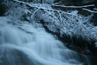 Smooth Swiftwater and Snowy Timbers tb1210wpr.jpg