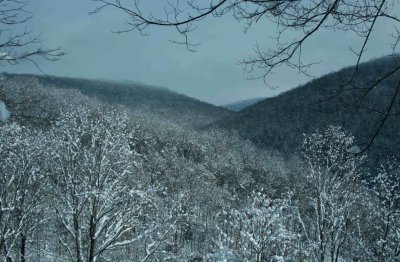 Wintry View of Spencer Run near Richwood tb0929bgr.jpg