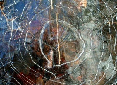 Natural Ice Clock in Woodland Water Hole tb0929bir.jpg