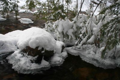 Ice Islands and Icy Hemlock in North Cherry tb1210wor.jpg