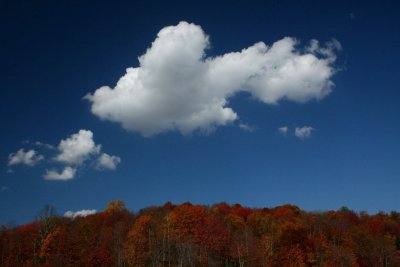 Large Cumulus Floating over Autumn Foliage tb1210aar.jpg