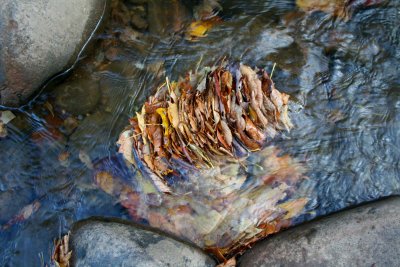 River Ripples thru Stones and Stacked Leaves tb1111opr.jpg
