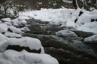 Upstream Snowy North Cherry Stream and Woods tb1210wsr.jpg