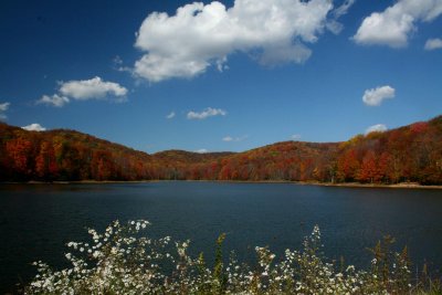 Fall Frontal View Summit Lake with Wildflowers tb1111bxr.jpg