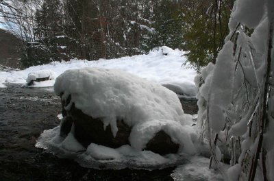 Frozen Branches Snowy Stone and Sky Corner tb1210sdr.jpg