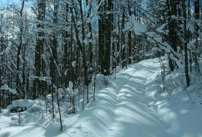 Shadows Cast on Wintry Appalachian Lane tb0910dfr.jpg