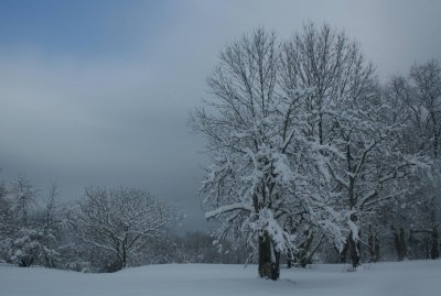 Blue and Gray Skies over Frosty Farm Field tb0211kdrx.jpg