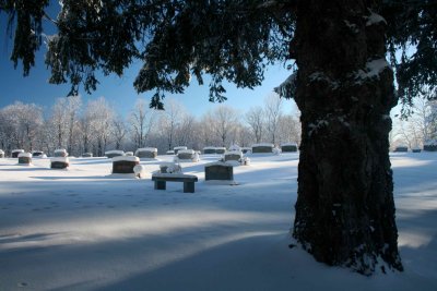 Hinkle Mtn Cemetery Frosted Timber and Big Spruce tb0211kar.jpg