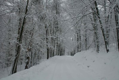 Upper Camp Splinter Rd Winter Scape tb0211khr.jpg