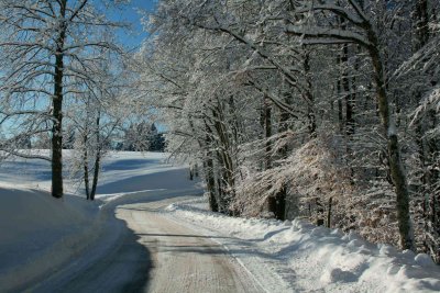 Hinkle Mtn Ridge Rd Winter Scene tb0211kfr.jpg