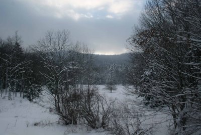 Winter Field and Woods Front Kennison Mtn tb0111lgr.jpg