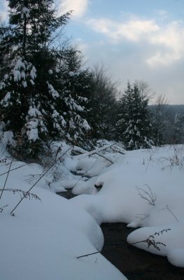 Headwaters Charles Creek Cloudy Winter Sky v tb0111lhr.jpg