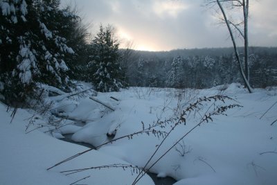 Winter Scape Valley Fronting Backlit Mtn tb0111lqr.jpg