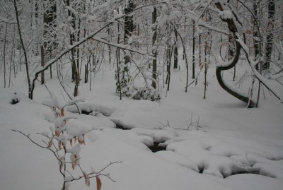 Snow Bound Headwaters Hinkle Mtn Stream tb0211kur.jpg