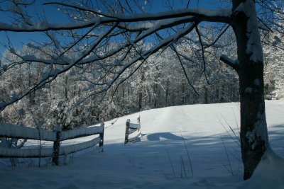 Shadows on Tree and Fence on Snowy Ridge tb0211lkr.jpg