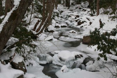 Icy Waters Creeping thru Lower Hunters Run tb0211lpr.jpg