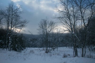 Frosted Meadow Head of Charles Creek Hollow tb0111ltr.jpg