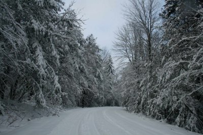 Cranberry Mtn Road into Pale Blue Sky Line tb0111lur.jpg