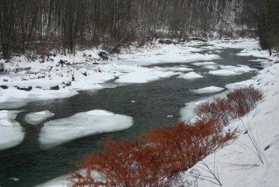 Lower Cherry with Brown Brush and Pine Winter Scene tb0111jcr.jpg