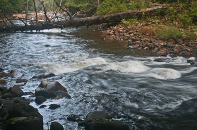River Scene on Cranberry near Woodbine tb0912plr.jpg