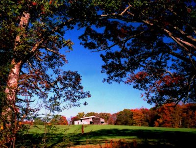 Chesnut Barn on Cranberry Ridge - Fall A tb1096.jpg