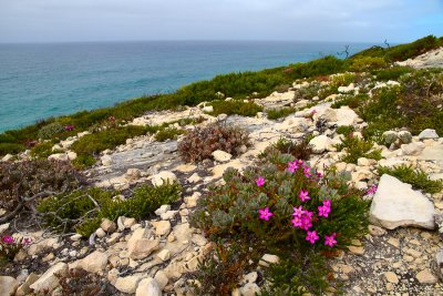 De Hoop Nature Reserve