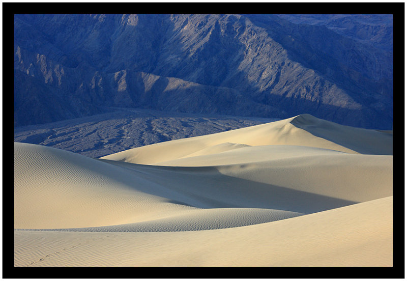 Life in Death Valley