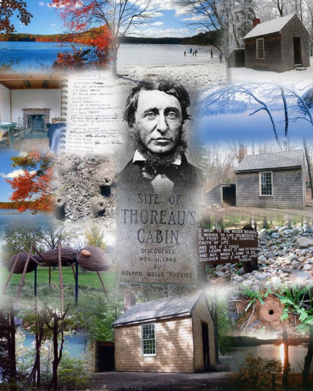 Thoreaus Landing aka Henry David Thoreau collage