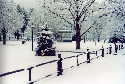 Burlington MA snow scene