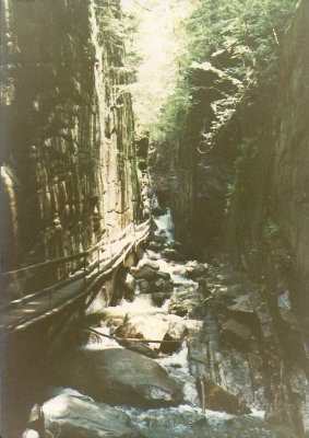 The Flume in NH