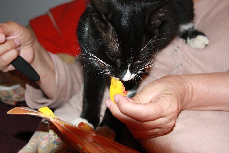KK loves to eat peach pear and apples2.jpg