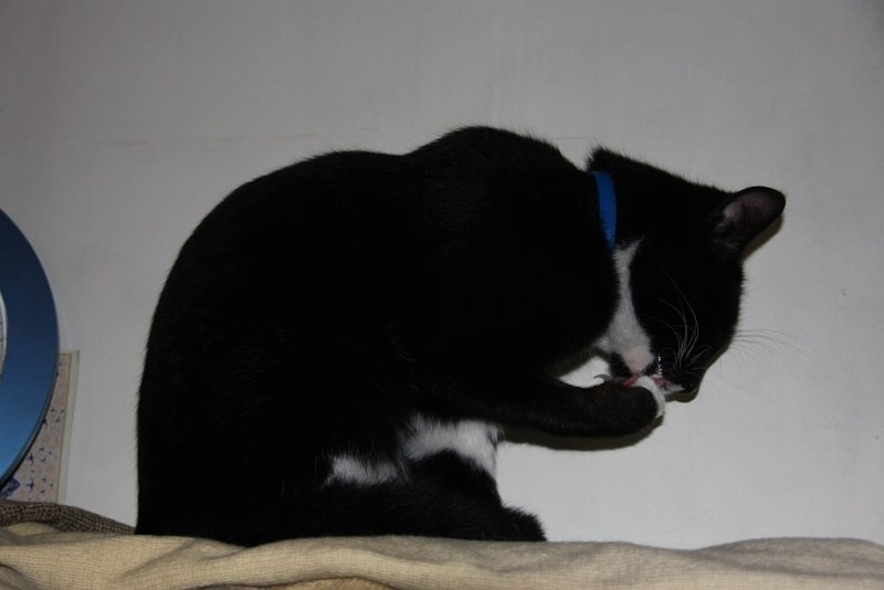 nisan2009 Cleaning.jpg