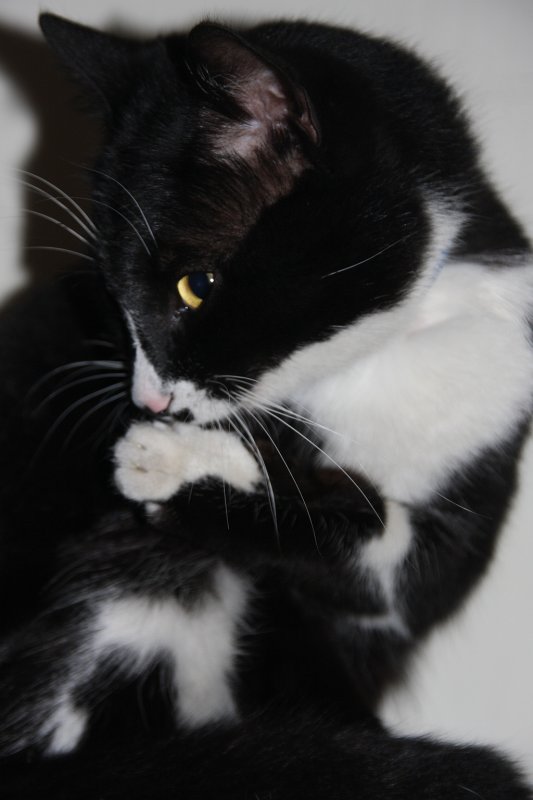 nisan2009 KK Saying shhhh.jpg