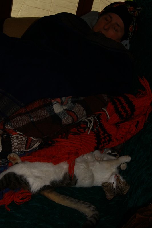 Winter time like summer 002.jpg