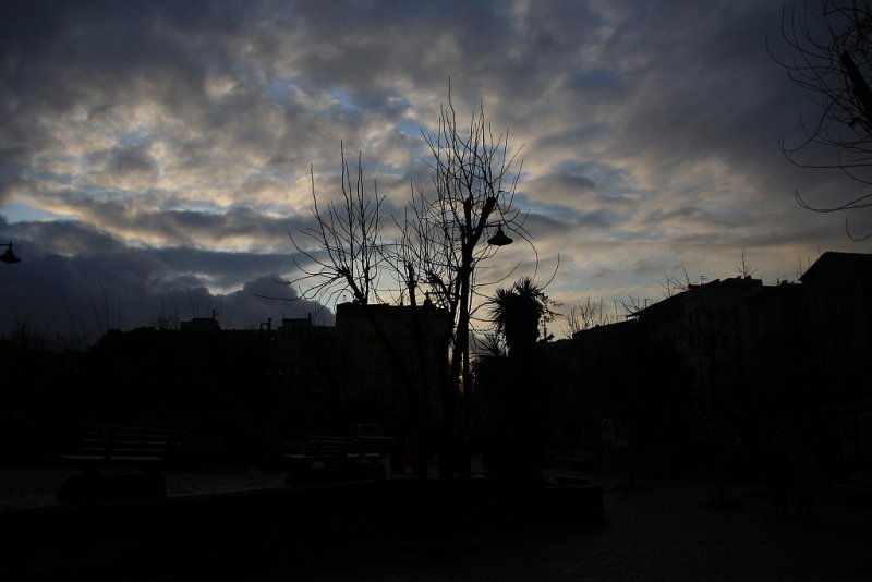 IMG_6494.jpg