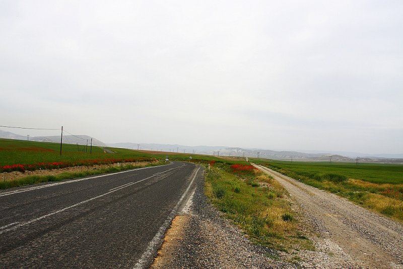Ank Road 028.jpg