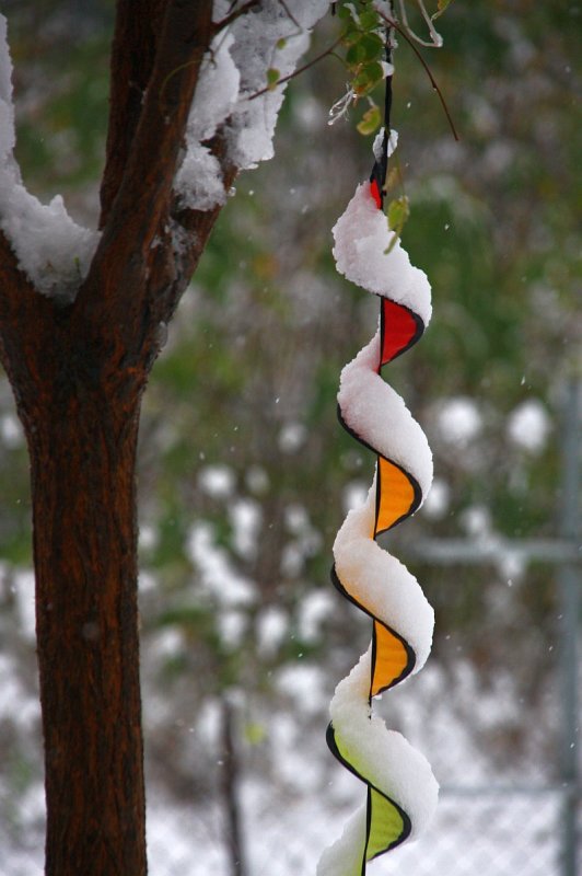 WINTER2010 002.jpg