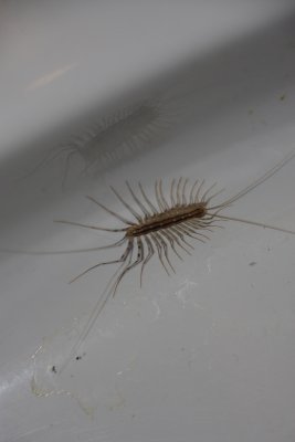 g1/73/564073/3/103377317.bWJJ5hum.jpg